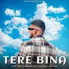 About Tere Bina Song