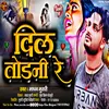 About Dil Todni Re (Bhojpuri) Song