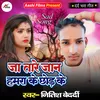 About Ja Tare Jaan Hamra Ke Chhod Ke Song