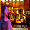 About Dil Tera Jaan Teri (hindi) Song