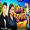 About Jiju Dulare (Bhojpuri) Song