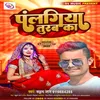 About Palangiya Turba Ka (Bhojpuri) Song