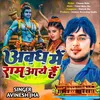 About Avadh Me Ram Aaye Hai Song