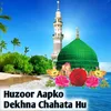 About Huzoor Aapko Dekhna Chahata Hu Song