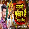 About Sunli Pukar He Sarde Maiya (Bhojpuri Song) Song