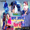 About Jaan Apna Dil Se (Bhojpuri) Song