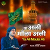 About Ya Ali Maula Ali Song