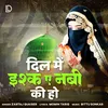 About Dil Mein Ishq E Nabi Ki Ho Song