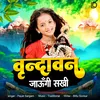 About Virandavan Jaungi Sakhi Song