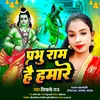 About Prabhu Ram Hai Hamare Song