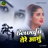 Bewafa Tere Aansu