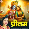 About Pritam (Hindi) Song