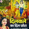 About Dilwale Ka Dil Chhota (Hindi) Song