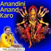 About Anandini Anand Karo Song