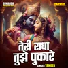 About Teri Radha Tujhe Pukare Song