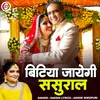 About Bitiya Jayegi Sasural (Hindi) Song