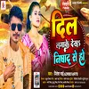 About Dil Lagaake Dekha Nishaad Se Ho (Bhojpuri song) Song