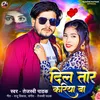 About Dil Tor Kariya Ba Song