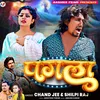 About Pagla (Bhojpuri) Song