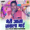 About Meri Aaja Jawala Mai (Hindi) Song