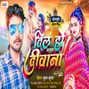 About Dil Ho Gail Diwana (Bhojpuri) Song