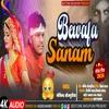 About Bewafa Sanam Song