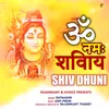 Om Namh Shivay (HINDI)