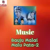 About Bauju Malai Malupata -2 Music Song