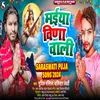 About Maiya Veena Wali (Bhojpuri) Song