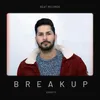 About Break Up Song