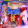 About Vinawali Aile Re (Maithili Song) Song