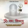 Om Namah Shivay