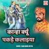 About Kanha Kyu Pakade Kalaiya Song