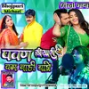 About Pawan Khesari Se Kam Naahi Baade (Bhojpuri) Song