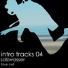 About Salzwasser (Intro for Mixes (Dmin-120bpm)) Song