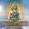 Om Namah Shivay