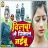 About Dilwa Se Nikal Jaibu (Bhojpuri) Song