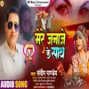 About Mere Janaje Ke Sath (Bhojpuri Sad) Song