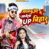 About Majanua Ke Janela Up Bihar (Bhojpuri) Song