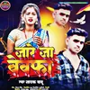 About Jaare Ja Bevafa (Bhojpuri) Song