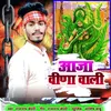 About Aaja Veena Wali Song