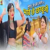 Bayi Ji Ki Lothi Ne Baye Che Karbojo Re (Rajasthani dj song)