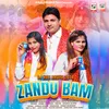 Zandubam (Holi Song 2024)