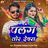 About Palang Tod Dewra Song