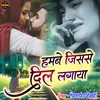 About Hamne Jisse Dil Lagaya Song