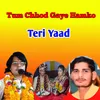 About Tum Chhod Gaye Hamko Song