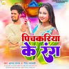 About Pichkariya Ke Rang (Bhojpuri Holi Song) Song