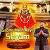 About Sapne Mein Aaye Shyam Song