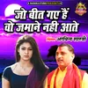 About Jo Beet Gaye Hain Vo Zamane Nahi Aate (Hindi) Song