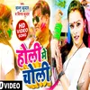 About Holi Me Choli Song